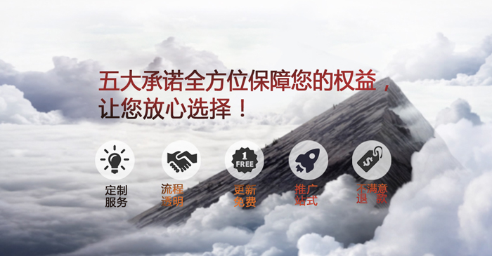 技術(shù)實(shí)力